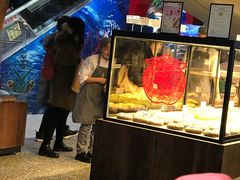 -LELECHA乐乐茶(上海五角场万达广场店)