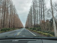 -盐城丹顶鹤湿地生态旅游区