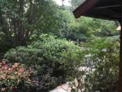 -西安华清御汤酒店