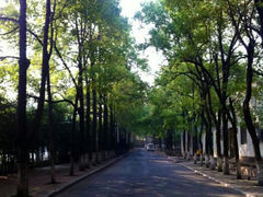 android_upload_pic-南华大学(红湘校区)