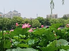 -济南大明湖景区