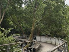 -西湖风景区-江洋畈生态公园