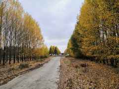 -塞罕坝国家级自然保护区