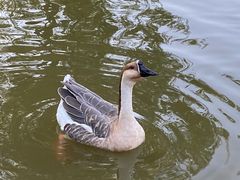 -伊隆斋(什刹海店)