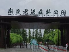 -黄海国家森林公园