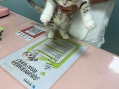 -嘉馨宠物医院·CT影像转诊·心脏科·犬猫全科诊疗中心(下沙大学城院区)