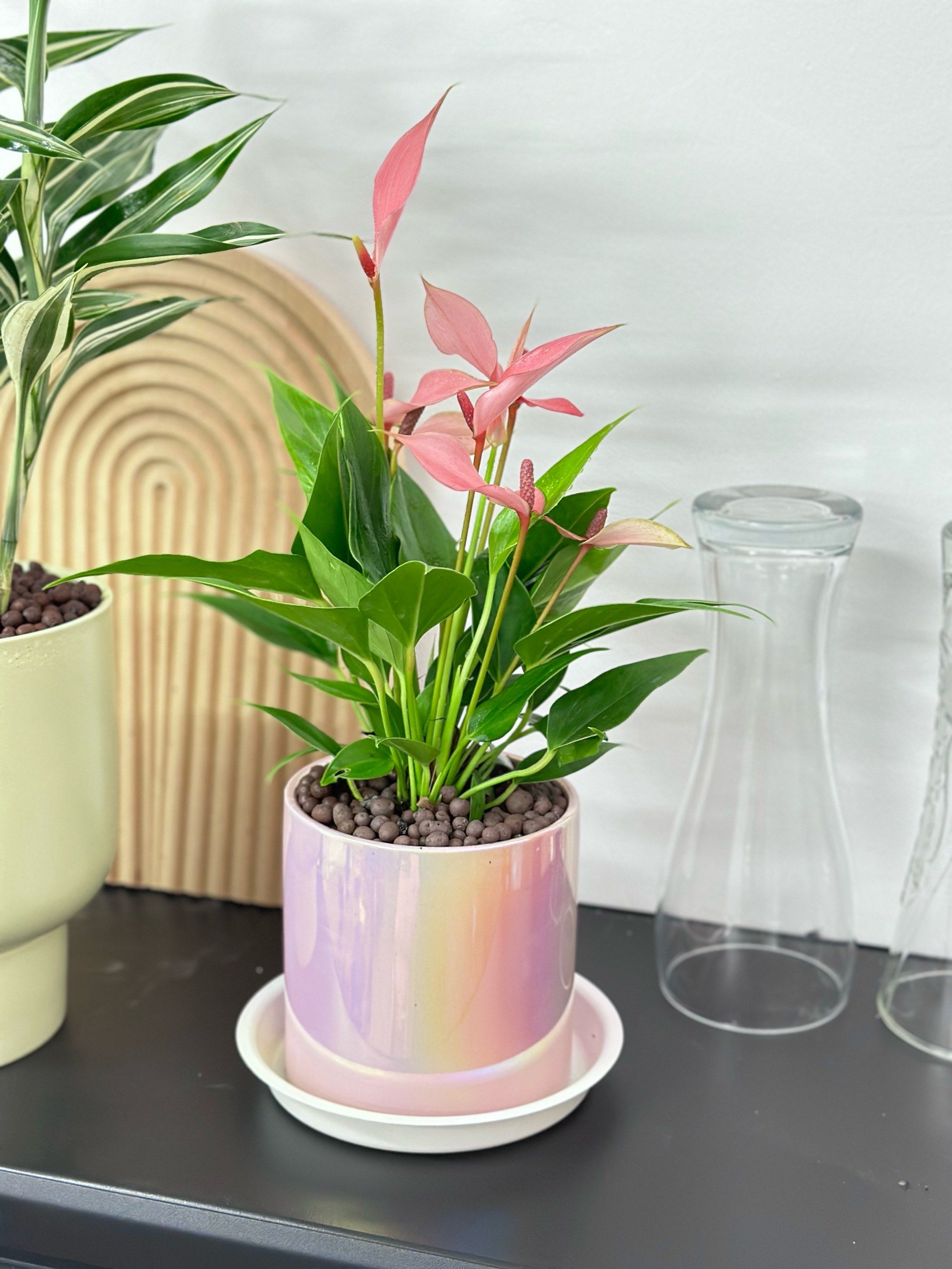 乐竞官网入口网页版曼联中场管制力壮健，齐备压制对方