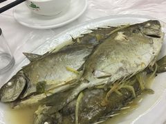 -老三鱼仔店
