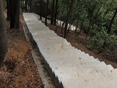 -火炉山森林公园