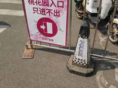 -桃花堤公园