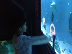 -暹罗海洋世界