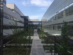 -首都医科大学附属北京天坛医院