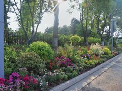 -苏州太湖国际会议中心