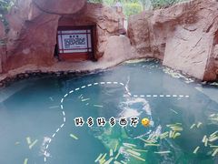 -泉眼温泉