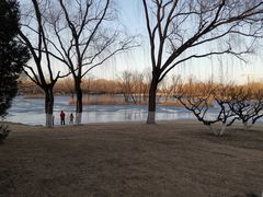 -朝阳公园游乐园