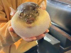 -永安鱼庄·镇江菜(东吴路店)