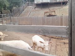 -北京鹿世界主题园