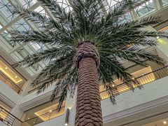 -永隆圣马可国际家居广场(江东中路店)