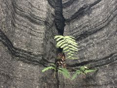 -梭布垭石林景区