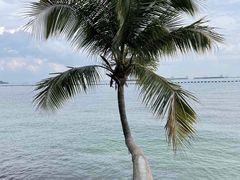-巴拉湾海滩