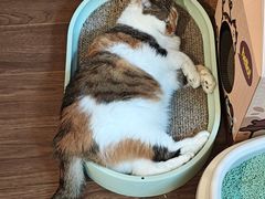 -浅行深作咖啡坊