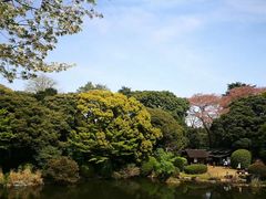 -东京国立博物馆