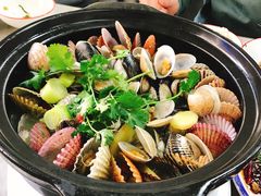 -小海丁