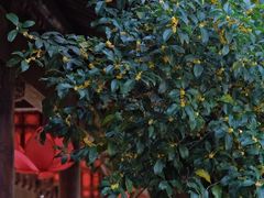 -钱王祠