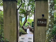 -三亚亚龙湾人间天堂鸟巢度假村