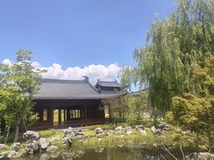 -江心屿景区