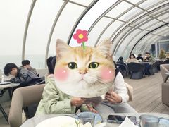 -Hi City·城市之巅