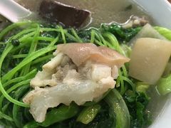 -老字號·桥下猪肚(龙眼南路店)