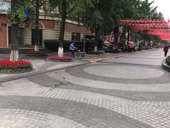 -神仙树公园
