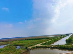 -盐城丹顶鹤湿地生态旅游区