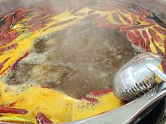 -金鼎雪山牦牛杂火锅(理县总店)