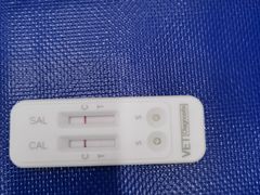 -博特宠物医院24h犬猫全科.骨科·异宠