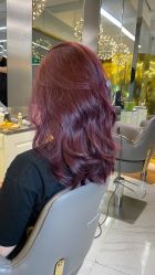 -潘多拉Hairsalon