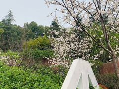 -UNIUNI(凯瑟琳广场店)