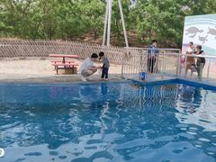 -北戴河圣蓝海洋公园