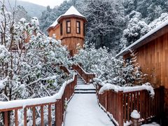 -杭州开元森泊度假乐园