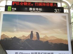 -上海机场-城市航站楼