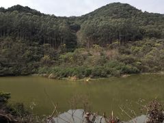 -南宁良凤江国家森林公园