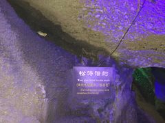 -寻龙山风景旅游区