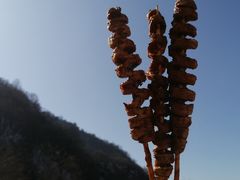 -少华山国家森林公园