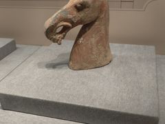 -呼和浩特博物馆