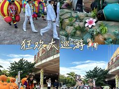 -灵玲国际马戏城