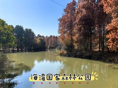 -上海海湾国家森林公园