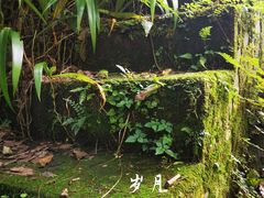 -南山植物园
