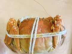 -乡乐园蟹庄·阳澄湖农家乐