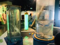 -北京科学中心儿童乐园